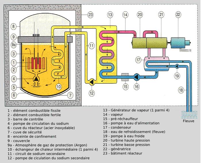 schema_reacteur_neutrons_rapides_caloporteur_sodium.jpg