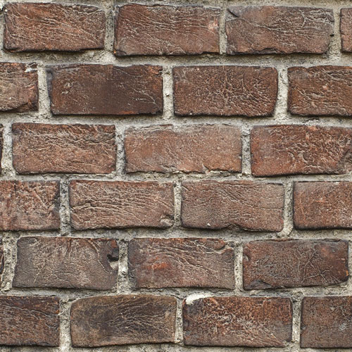 arton1172.jpg arton1172.jpg