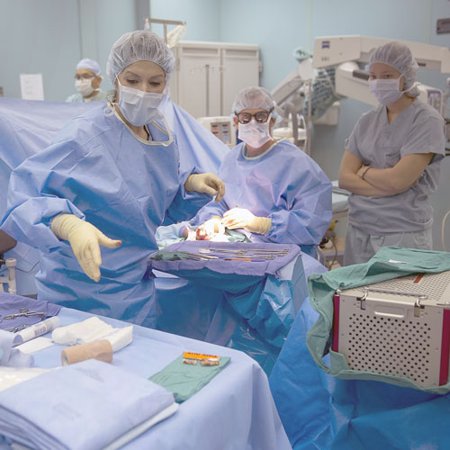 arton1312.jpg arton1312.jpg