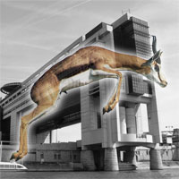 arton377.jpg arton377.jpg