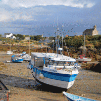 arton421.gif arton421.gif