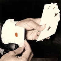 arton498.jpg arton498.jpg