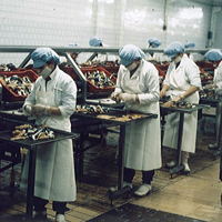 arton552.png arton552.png