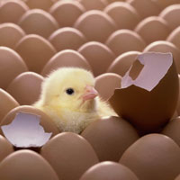 arton944.jpg arton944.jpg