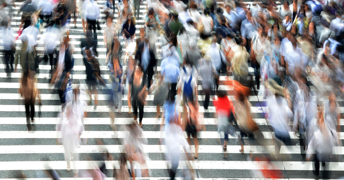 qui-fait-quoi.jpg qui-fait-quoi.jpg