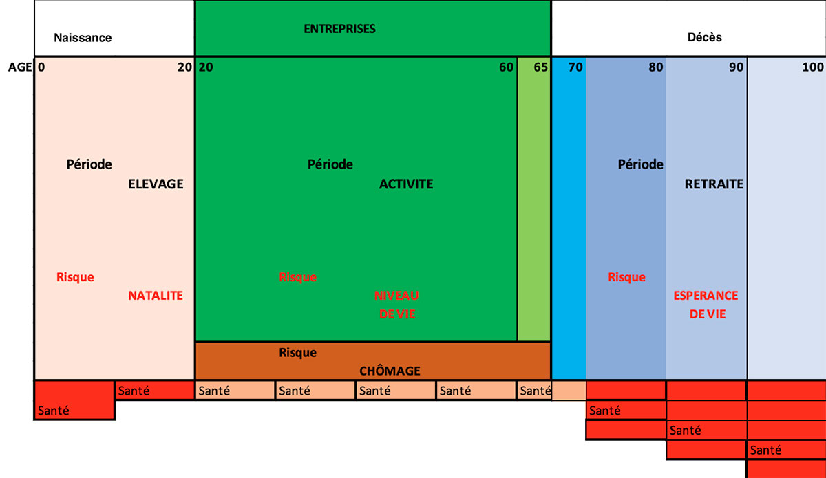 Financement du parcours social, la chenille de vie : Financement du parcours social, la chenille de vie :